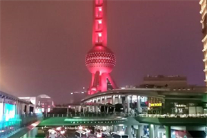 Stroll through Shanghai's Backyard： Meditate in the urban green ocean!